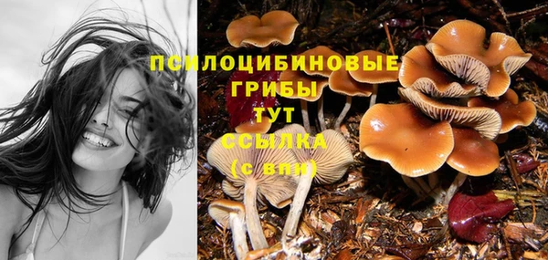 наркотики Гусь-Хрустальный