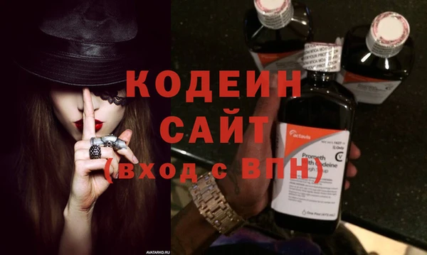 шишки Гусев