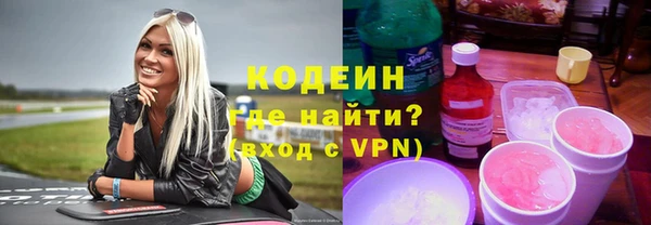 шишки Гусев