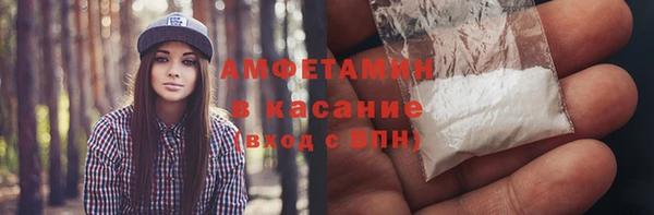 шишки Гусев