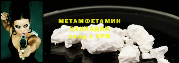 шишки Гусев