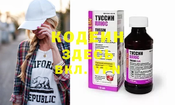 шишки Гусев